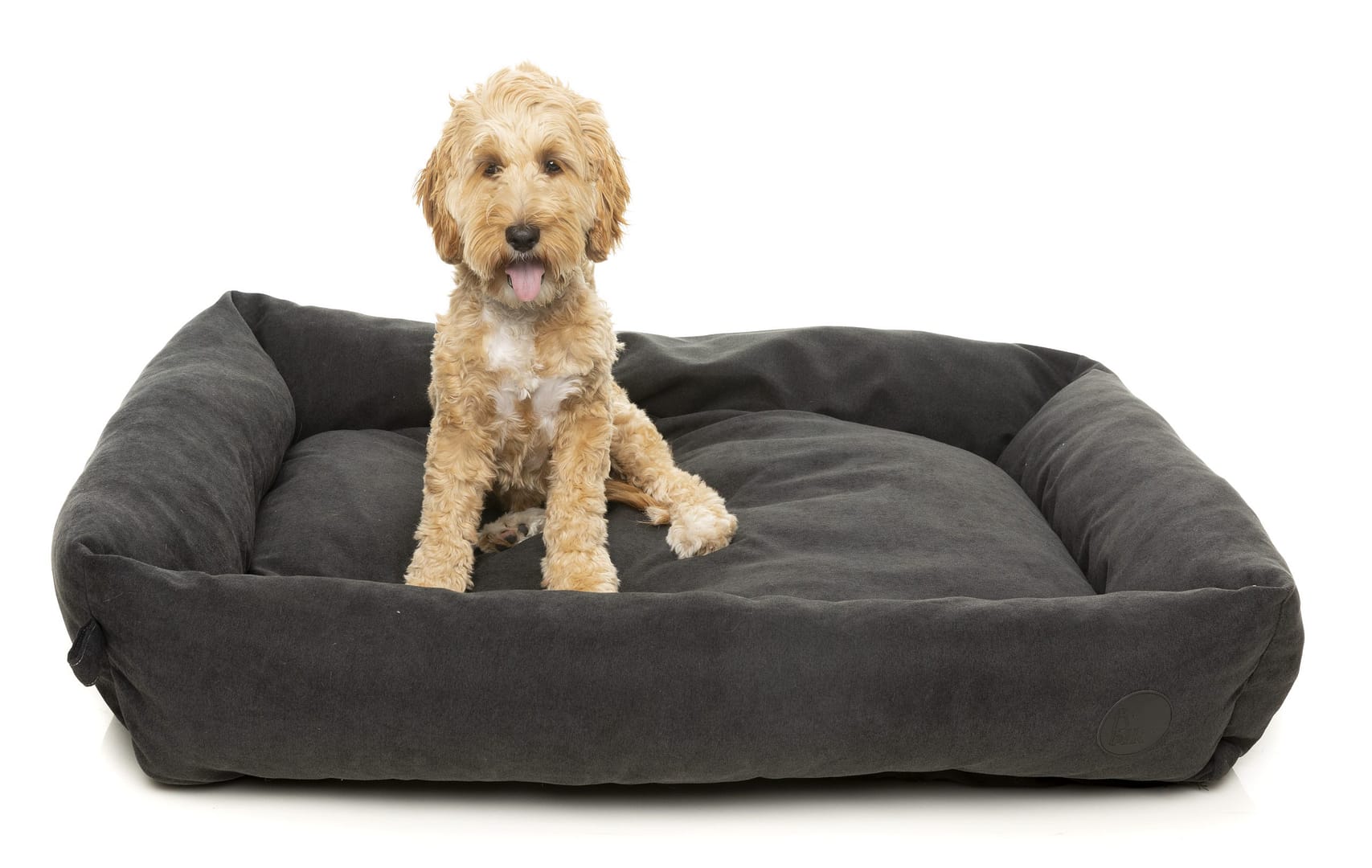 FuzzYard The Lounge - Charcoal