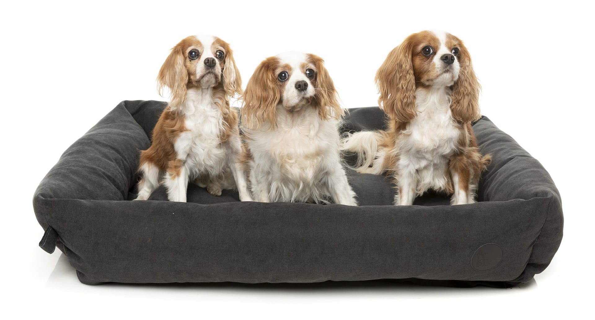 FuzzYard The Lounge - Charcoal