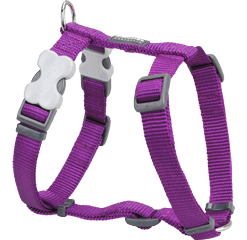 Red Dingo Classic Harness - Purple