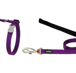 Red Dingo Cat Combo Classic - Harness & Lead - Purple