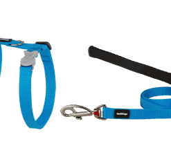 Red Dingo Cat Combo Classic - Harness & Lead - Turquoise