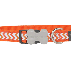 Red Dingo Bucklebone Reflective Ziggy Collar - Orange