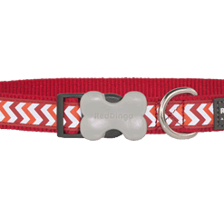 Red Dingo Bucklebone Reflective Ziggy Collar - Red