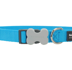 Red Dingo Bucklebone Classic Collar - Turquoise