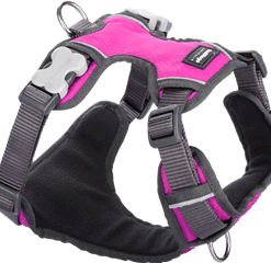 Red Dingo Padded Harness - Hot Pink