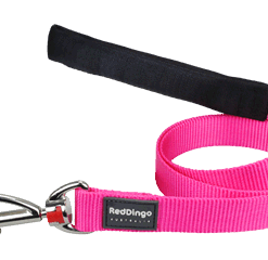 Red Dingo Fixed Classic Lead - Hot Pink