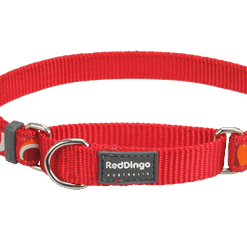 Red Dingo Martingale Half Check Collar - Red