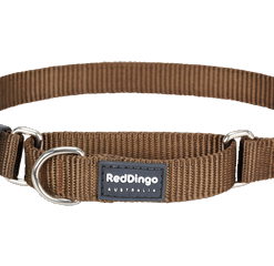 Red Dingo Martingale Half Check Collar - Brown