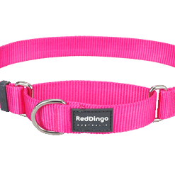 Red Dingo Martingale Half Check Collar - Hot Pink