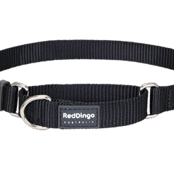Red Dingo Martingale Half Check Collar - Black