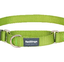 Martingale Collar Classic Lime Green