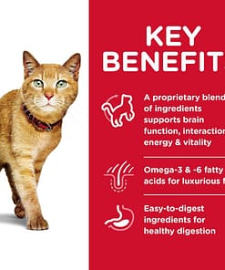 Cat Food CSV Test (2 Sizes) - 12KG