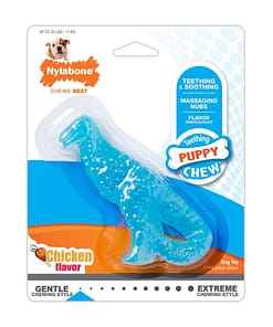 Nylabone Puppy Chicken Dental Dinosaur Chew Toy