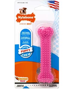 Nylabone Puppy Teething & Soothing Flexible Chew Toy