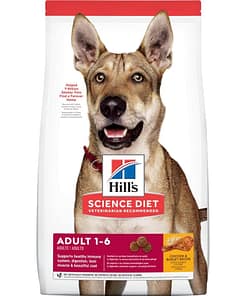 Dog Food CSV Test