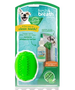 Fresh N’ Fun Dental Chew Toy