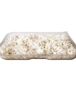 Kaytee CritterTrail Bedding Tray 3pk