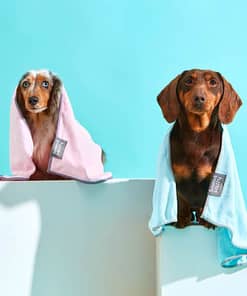 Blue With Grey Trim, Microfibre Drying Towel For Puppies