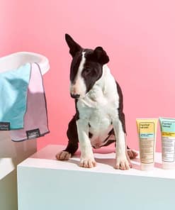 Oatmeal + Mandarin Sensitive Dog Shampoo