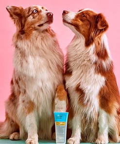 FuzzYard Rosemary + Peppermint Express 2in1 Shampoo & Conditioner