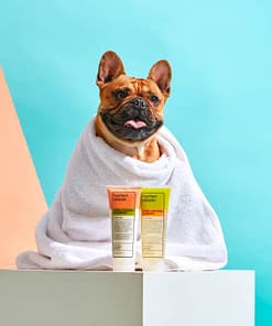 FuzzYard Tea Tree Dog Shampoo - Tea Tree + Sweet Orange