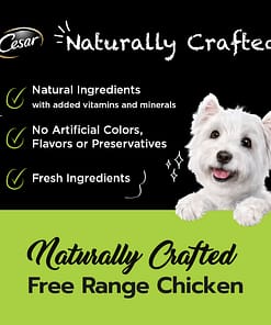 Cesar Naturally Crafted Dog Food Wet Food Chicken 85g