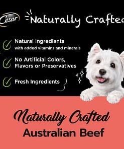 Cesar Naturally Crafted Dog Food Wet Food Australian Beef 85g