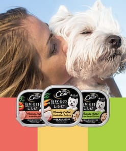 Cesar Naturally Crafted Dog Food Wet Food Australian Beef 85g