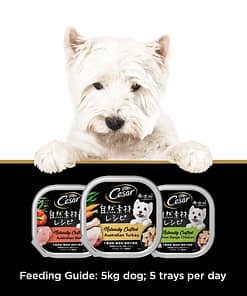 Cesar Naturally Crafted Dog Food Wet Food Australian Beef 85g