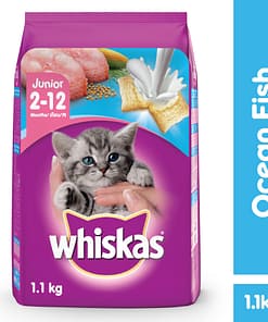 Whiskas Cat Food Dry Food Junior Ocean Fish with Milk 1.1kg