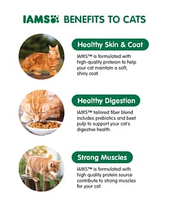IAMS Cat Food Dry FoodSenior Chicken 3kg