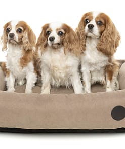 The Lounge - Mocha