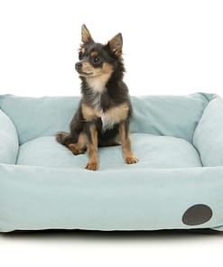 The Lounge - Powder Blue