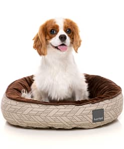 Wilshire Reversible Bed