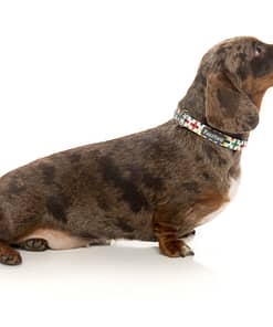 Jenga Collar