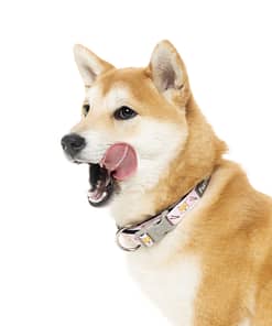 SuShiba Collar