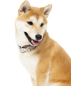 SuShiba Collar