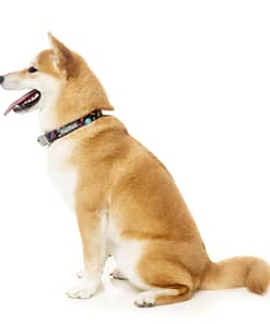 Bel Air Collar