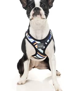 FuzzYard Step In Harness -Sonic
