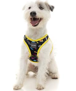FuzzYard Step In Harness - Bel Air