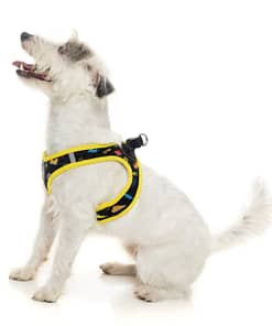 FuzzYard Step In Harness - Bel Air
