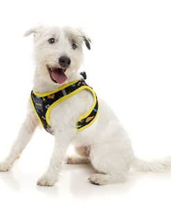 FuzzYard Step In Harness - Bel Air