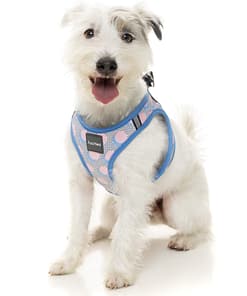 FuzzYard Step In Harness - Dippin'