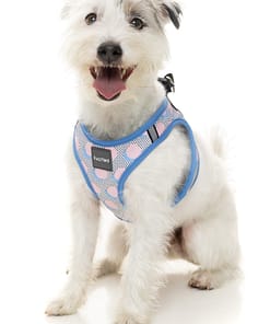 FuzzYard Step In Harness - Dippin'