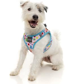 FuzzYard Step In Harness - Jelly Bears
