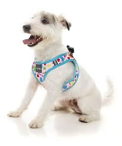 FuzzYard Step In Harness - Jelly Bears