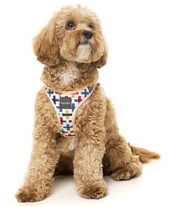 FuzzYard Step In Harness - Jenga