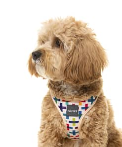 FuzzYard Step In Harness - Jenga