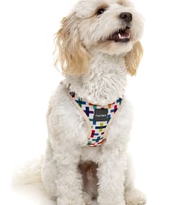 FuzzYard Step In Harness - Jenga
