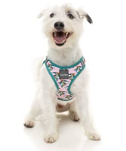 FuzzYard Step In Harness -LL Cool Jaw$